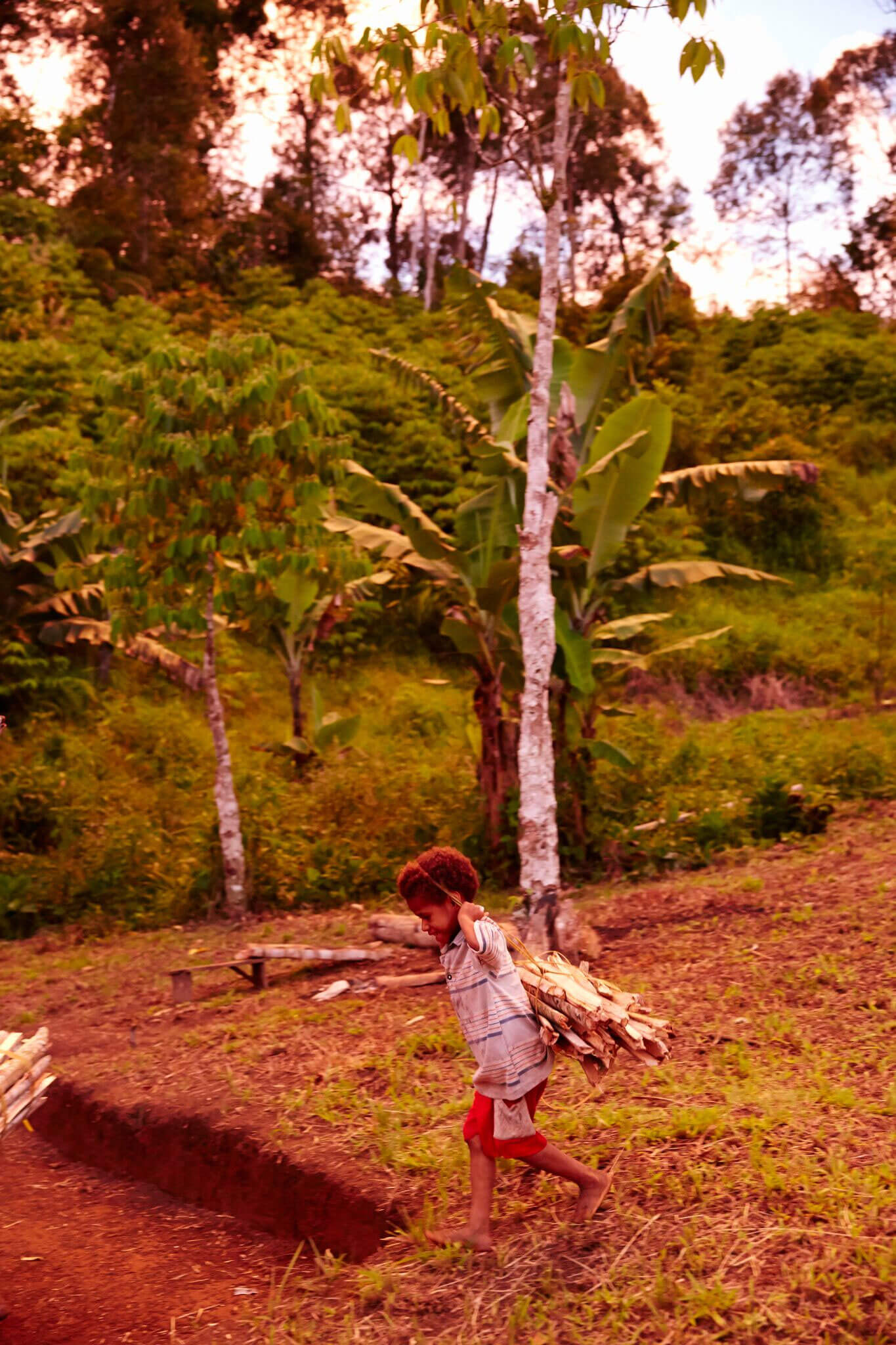 image-3